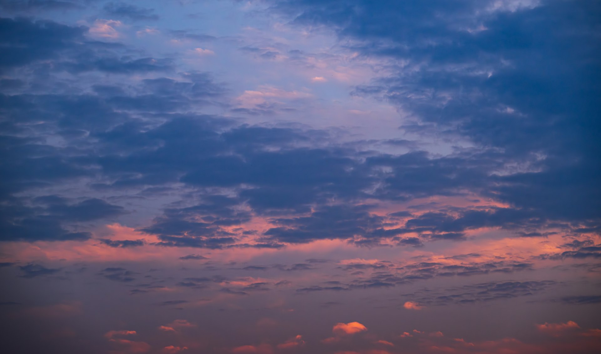 Blue-hour clouds with their edges lit pink by the sunrise.